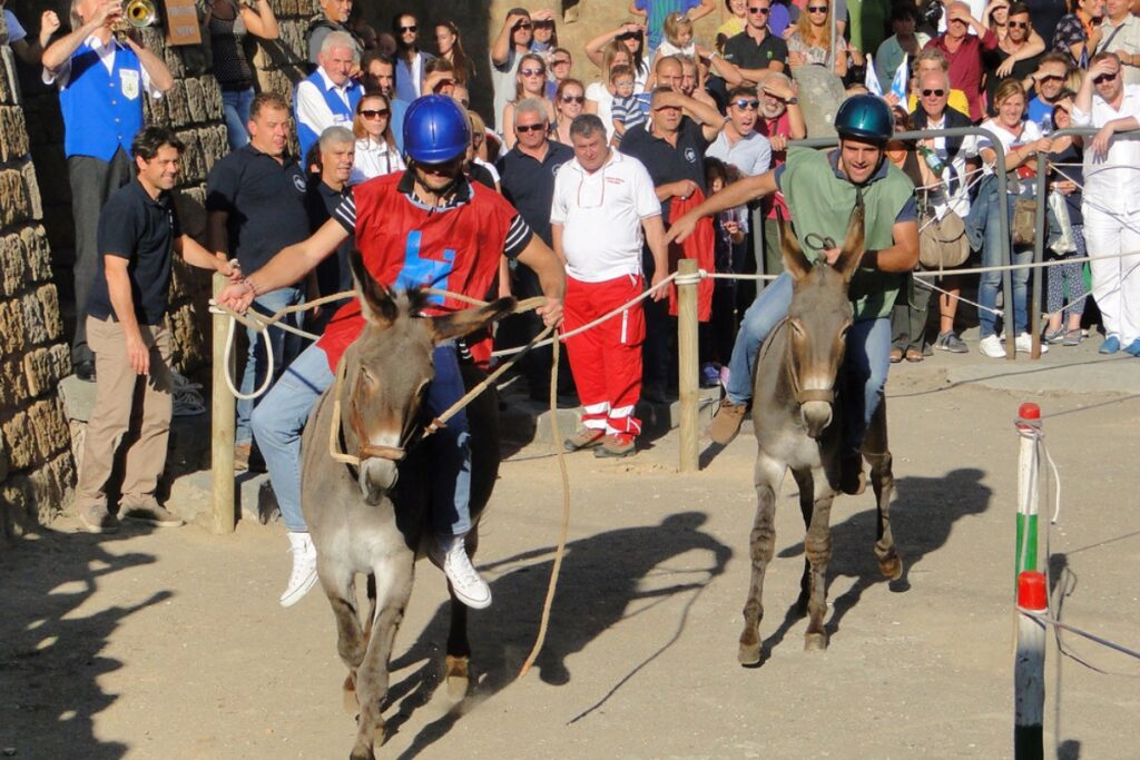 Palio della Tonna