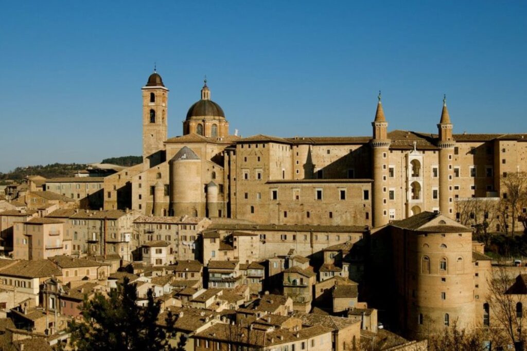 University of Urbino