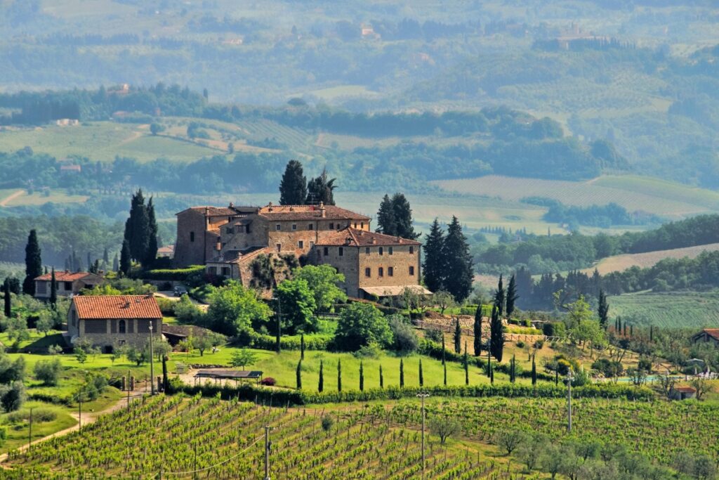 Wine Garden in Calabria