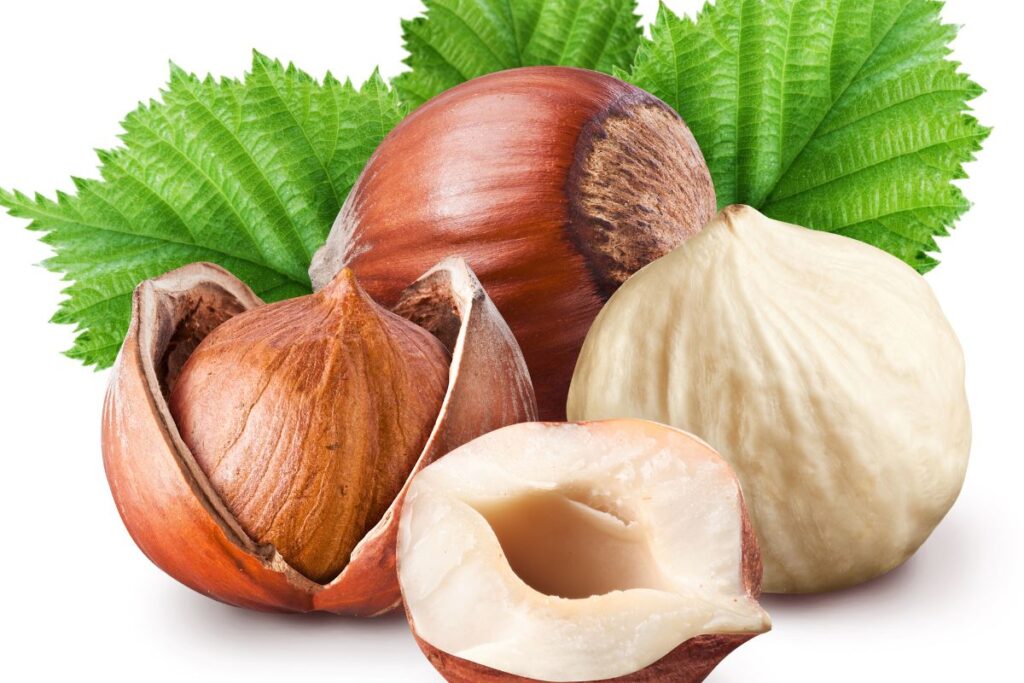 Hazelnuts