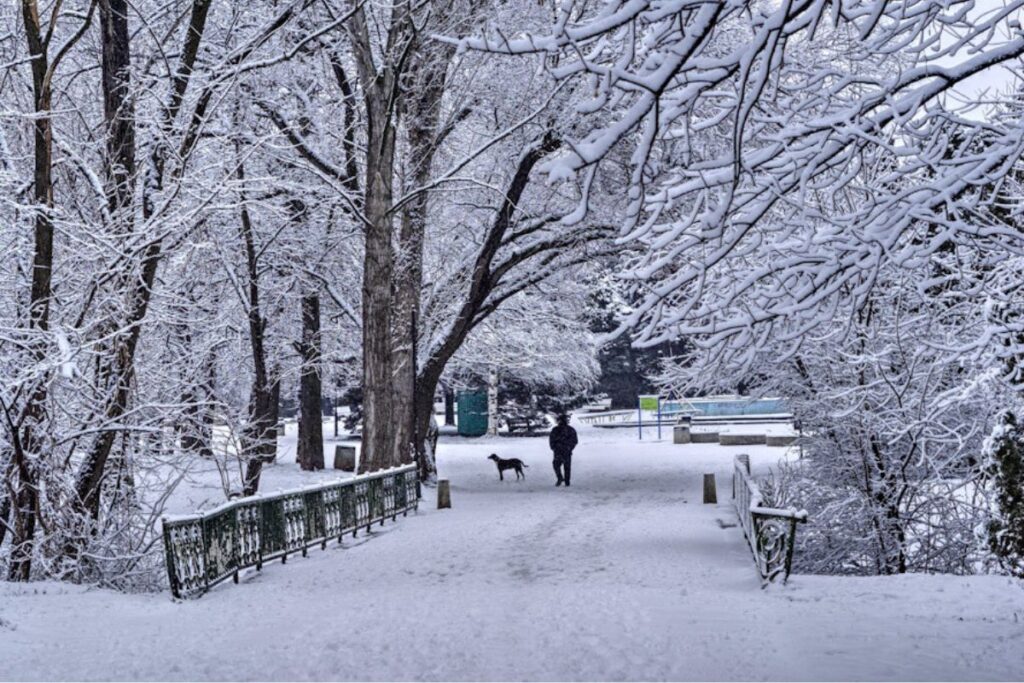 Snow fall time at Piedmont 