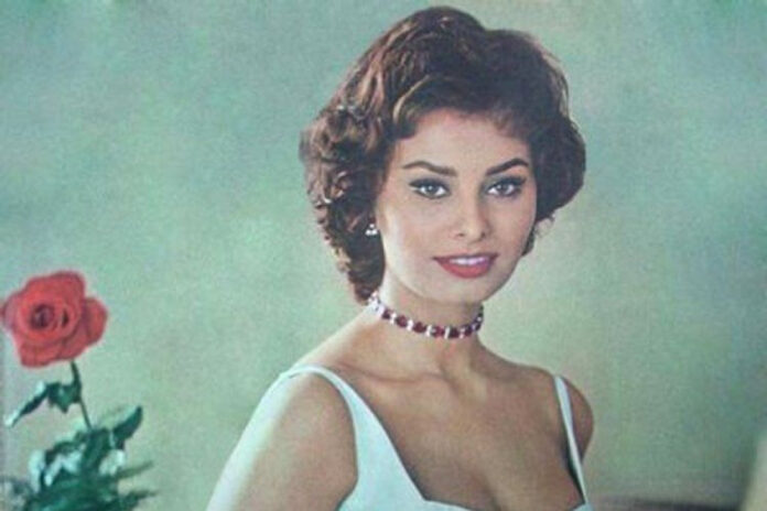 Sophia Loren An Icon Of Beauty Talent And Resilience