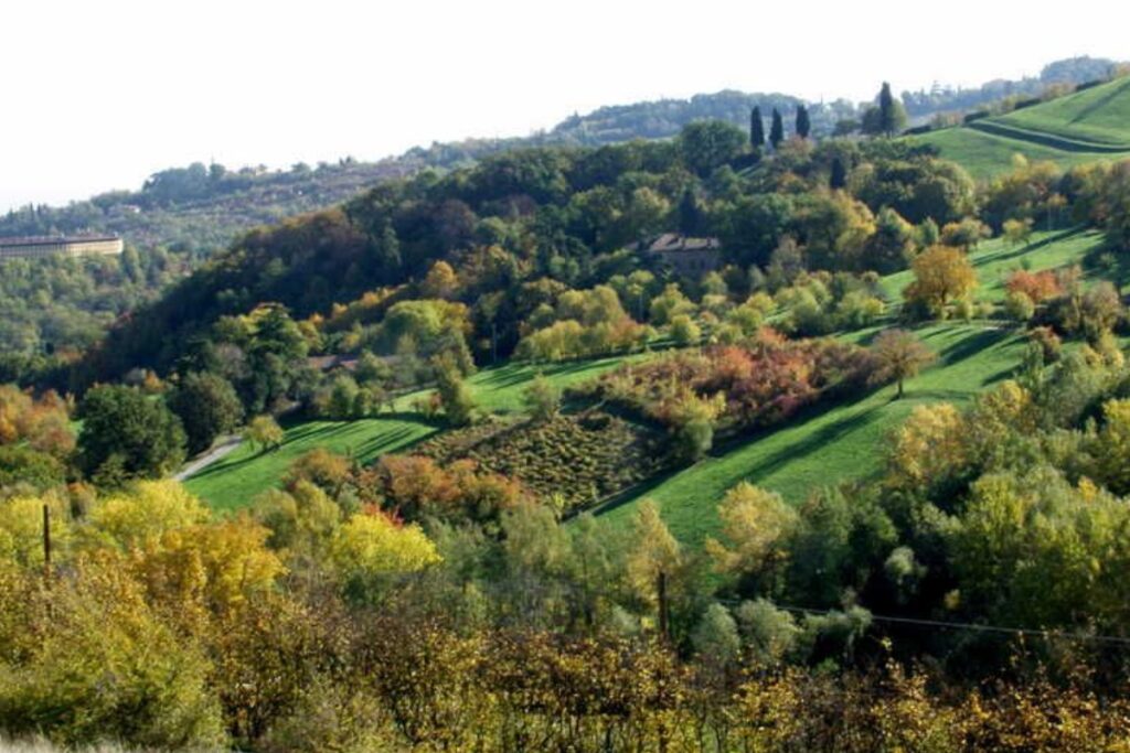 Parco di Villa Ghigi