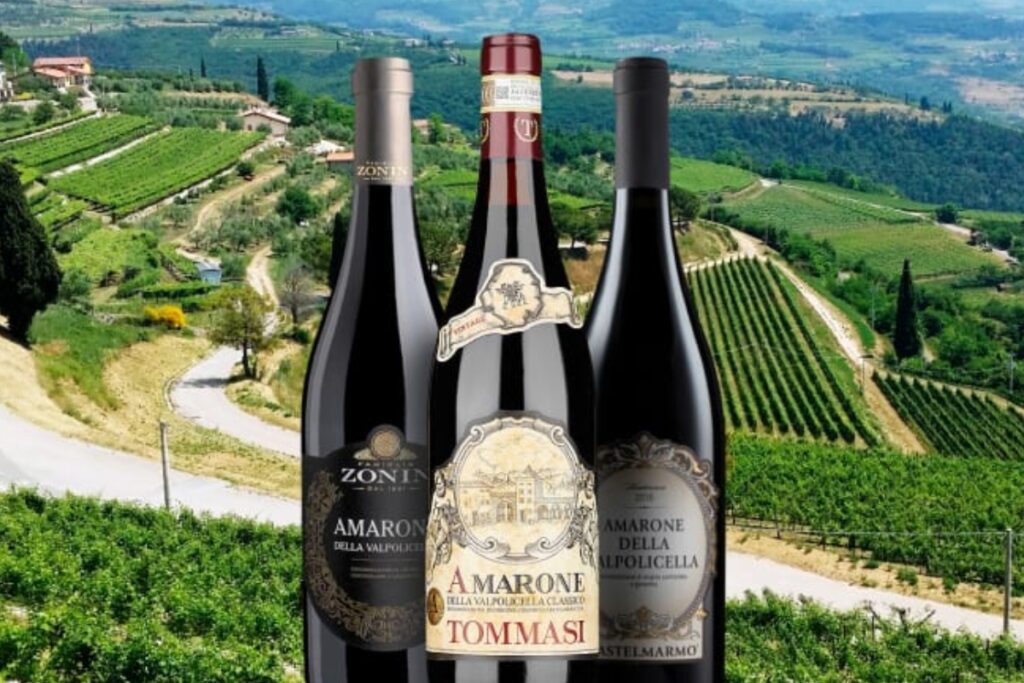 Valpolicella and Amarone Wines